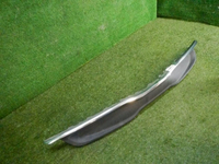 DSCN4653.jpg