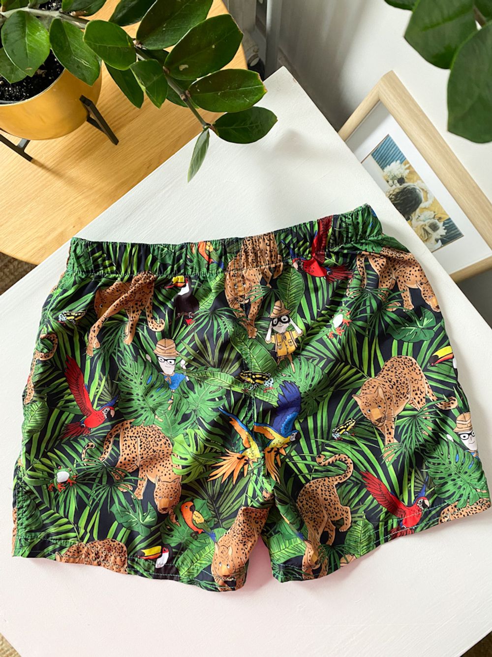 Плавательные шорты Dolce&Gabbana, 116