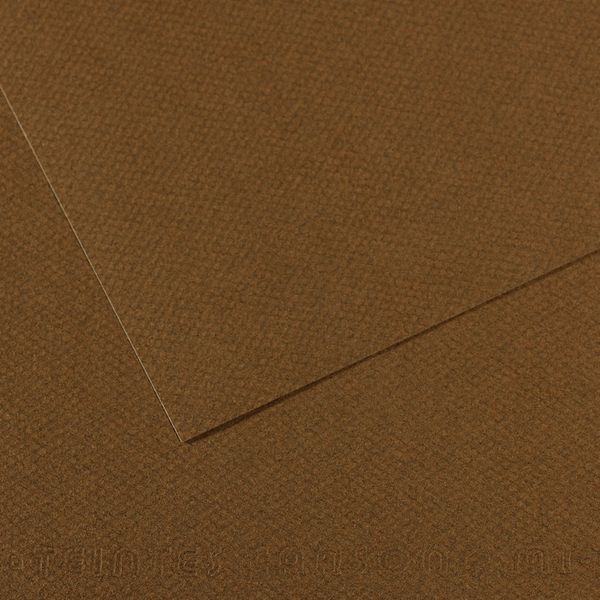 Бумага для пастели Mi-Teintes 160 г/м², 50х65 см, 10 л, №501 Коричневый табак, Canson, C31033S122