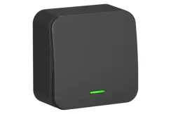 Выключатель Systeme Electric BLANCA 1-клавишный с индикатором проходной накладной антрацит 30871