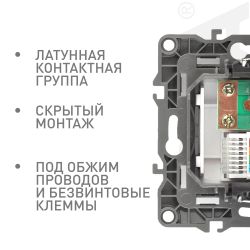 Розетка ЭРА Серия 12 12-3110-06 комбинированная RJ45+TV IP20 чёрный | Эра 12