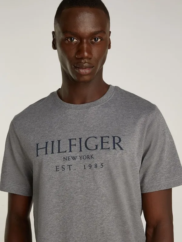 Футболка мужская TOMMY HILFIGER BIG HILFIGER TEE