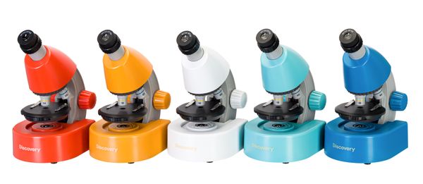 Микроскоп Levenhuk Discovery Micro с книгой, 77952