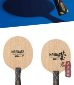 Victas MAGNASS