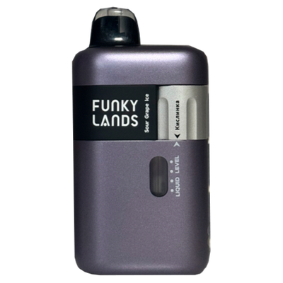 FANKY LANDS & LOST MARY SONIC X 30000