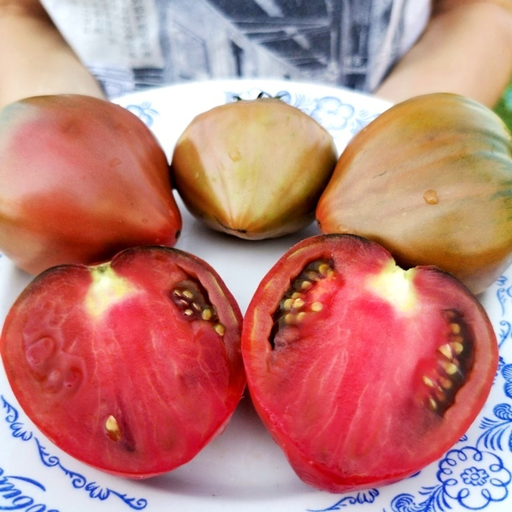 Помидоры Пурпурное Сердце Лилипута - Dwarf Purple Heart Tomato