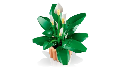 Конструктор LEGO Botanical Collection 11504 Peace Lily
