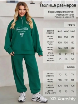 Спортивный костюм весенний без начеса