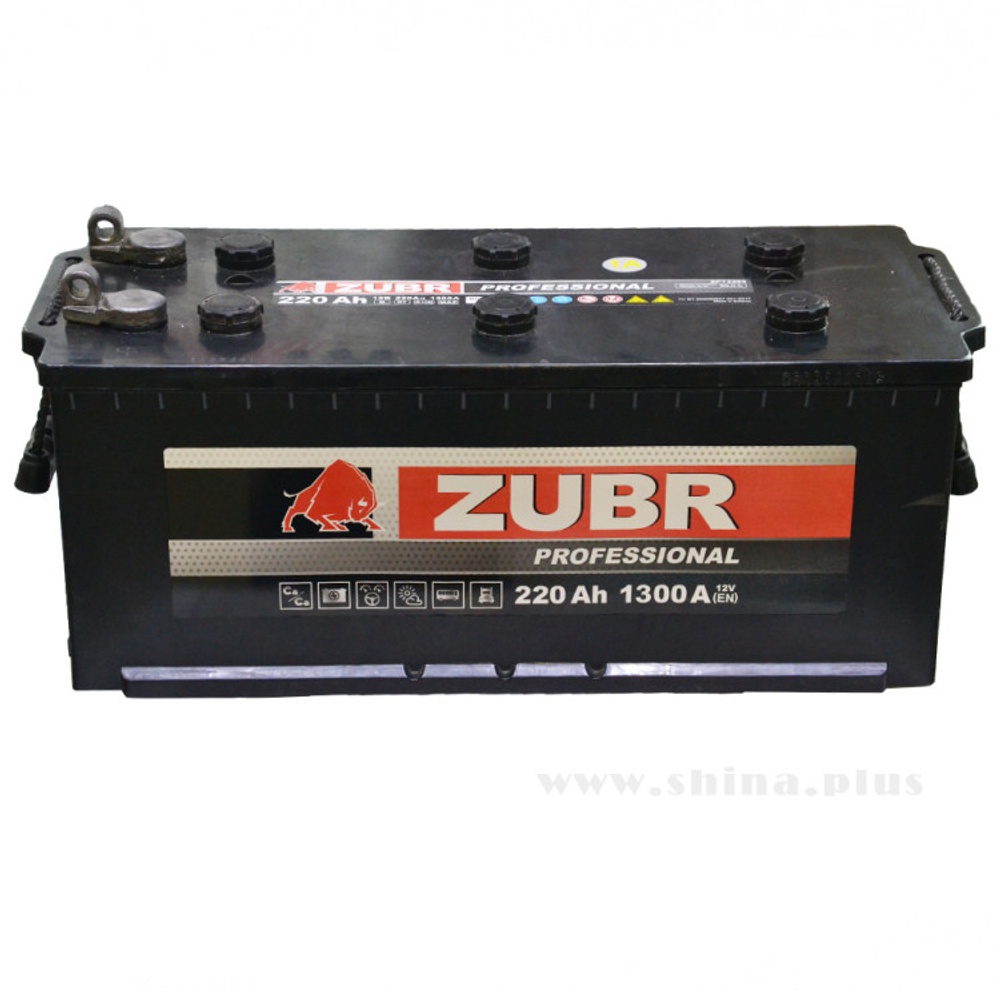ZUBR NPD12V220Ah