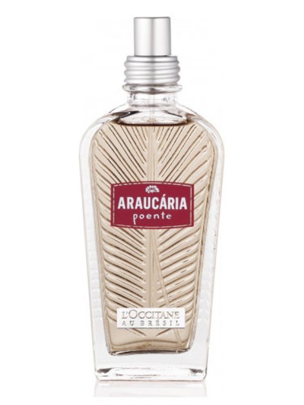 L’Occitane Au Bresil Araucaria Poente