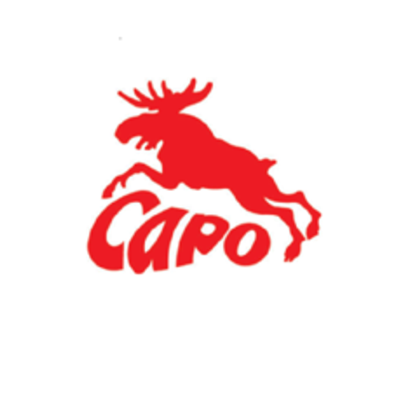 Ножи САРО — обзор линейки Ножи САРО — обзор линейки