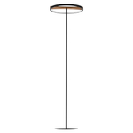 Торшер светодиодный Lightstar Lodi 723727