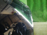 DSCN6369.jpg
