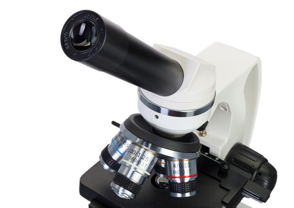 Микроскоп Levenhuk Discovery Atto Polar с книгой