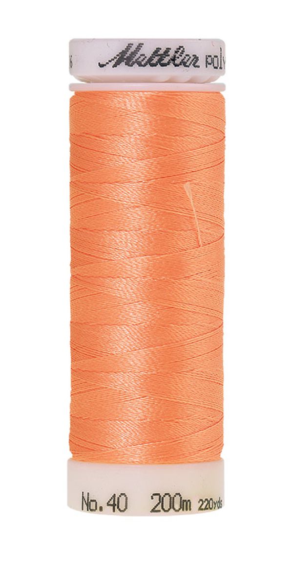 Нить вышивальная Mettler Poly Sheen 40 (200 м), 5 кат. | цв. 1351