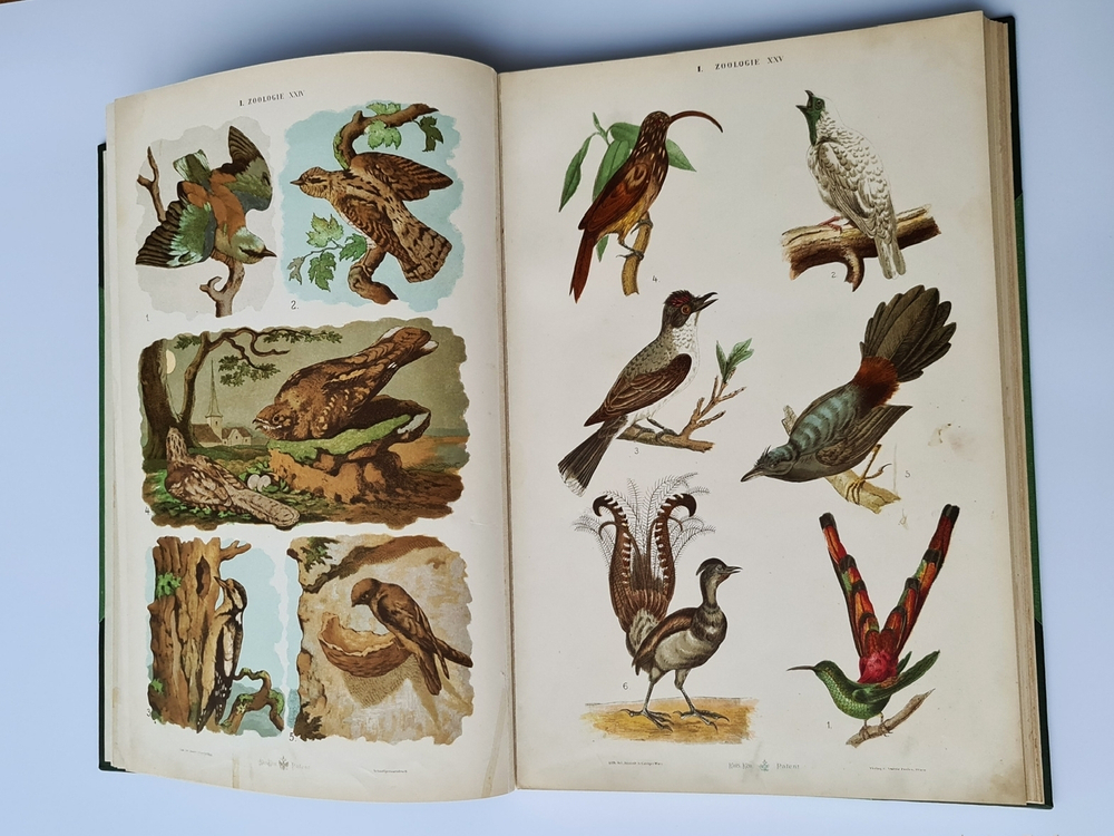 "Большой зоологический, ботанический и минералогический атлас : Handatlas der Naturgeschichte aller drei Reiche". Г. Хайек : Hayek, Gustav von. Grosser. 1888г. - антикварное издание