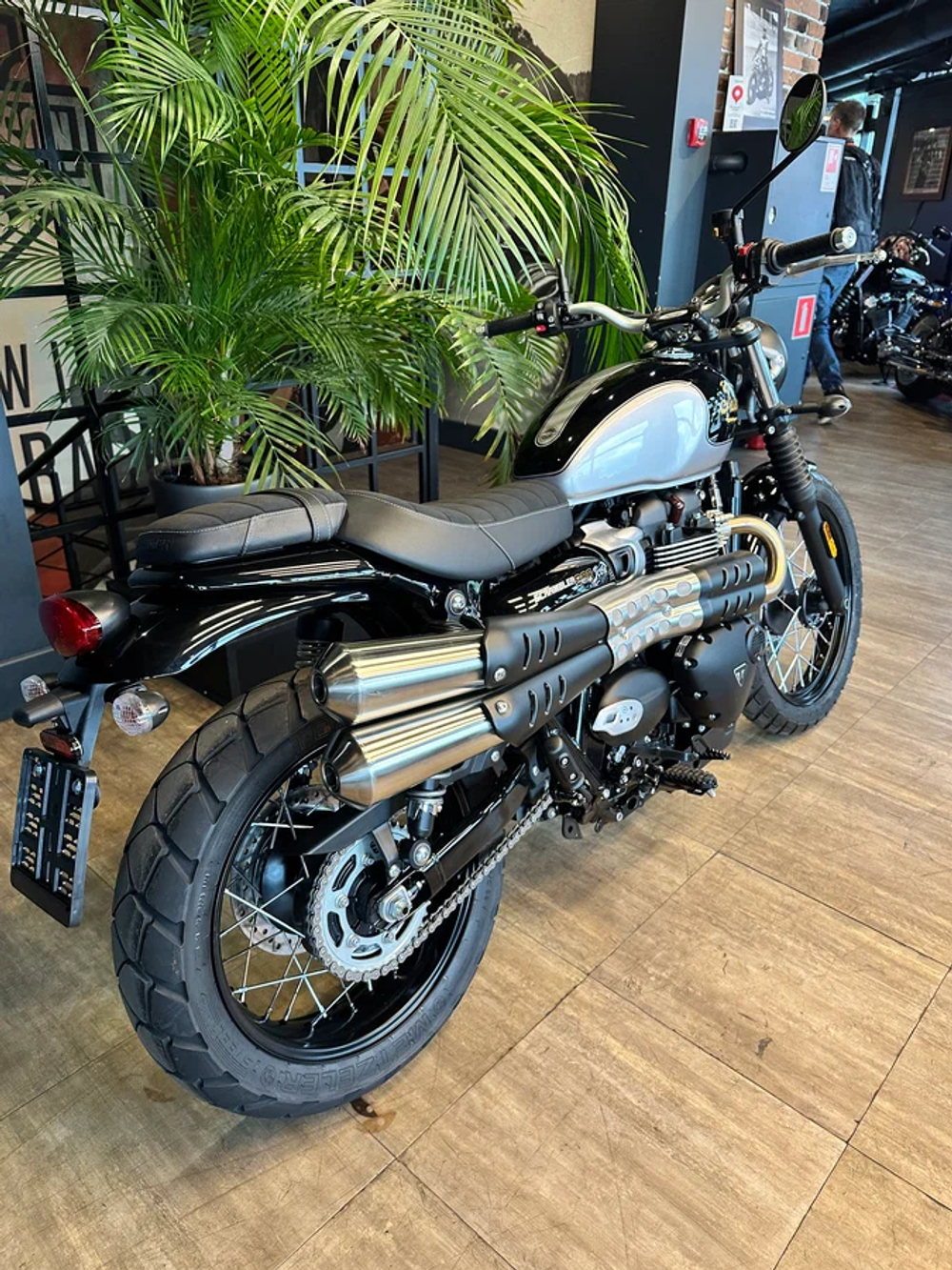 Triumph Scrambler 900, 2025