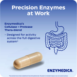 Enzymedica, Кандидаза, 42 капсулы