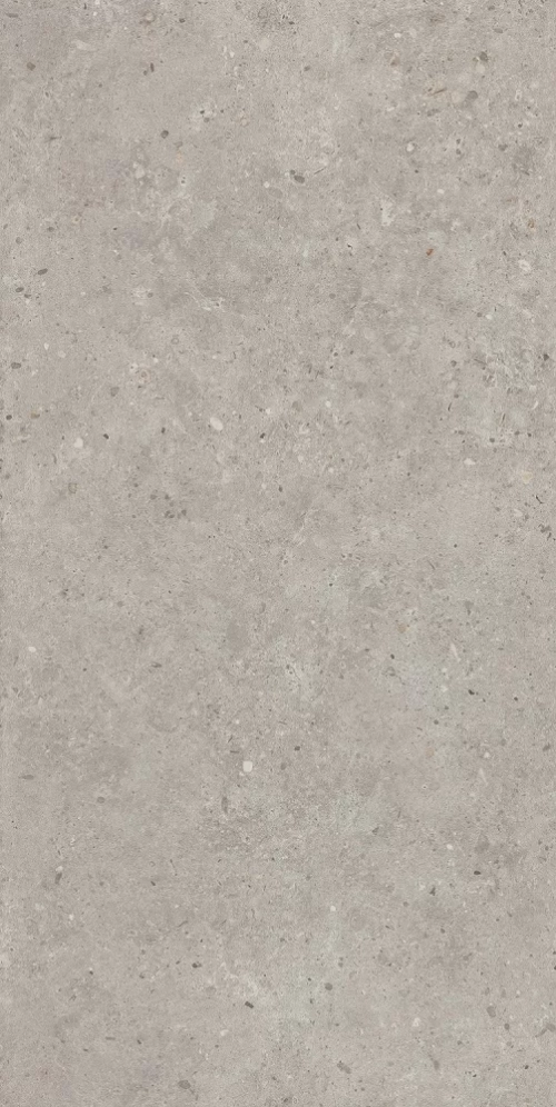 Керамогранит KERAMA MARAZZI РИККАРДИ серый светлый матовый обрезной 60x119,5 (9 мм.) арт. SG519920R