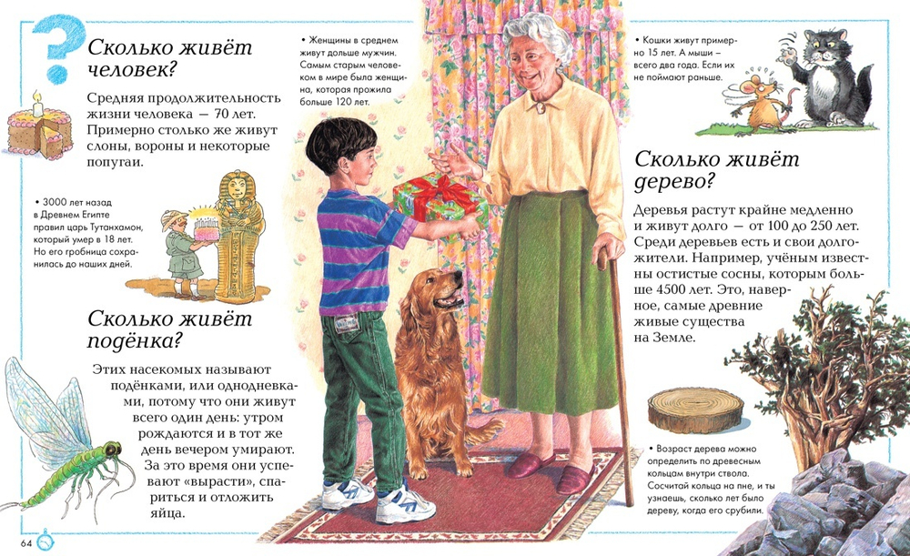 Отчего и почему? Стил Филип ; Уолпол Бренда; Ганери Анита; Покидаева Татьяна Юрьевна; Фролова Татьяна