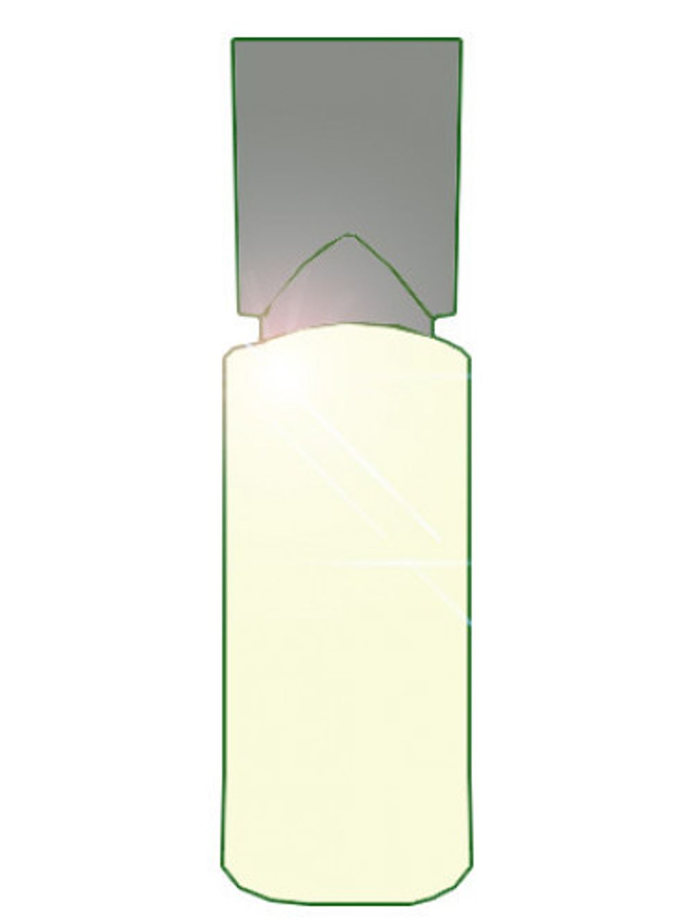 Shiseido Inoui