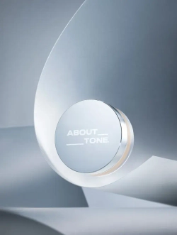 ABOUT TONE The Blur Finish Powder - Рассыпчатая матирующая пудра с эффектом "размытия пор" (10 гр)