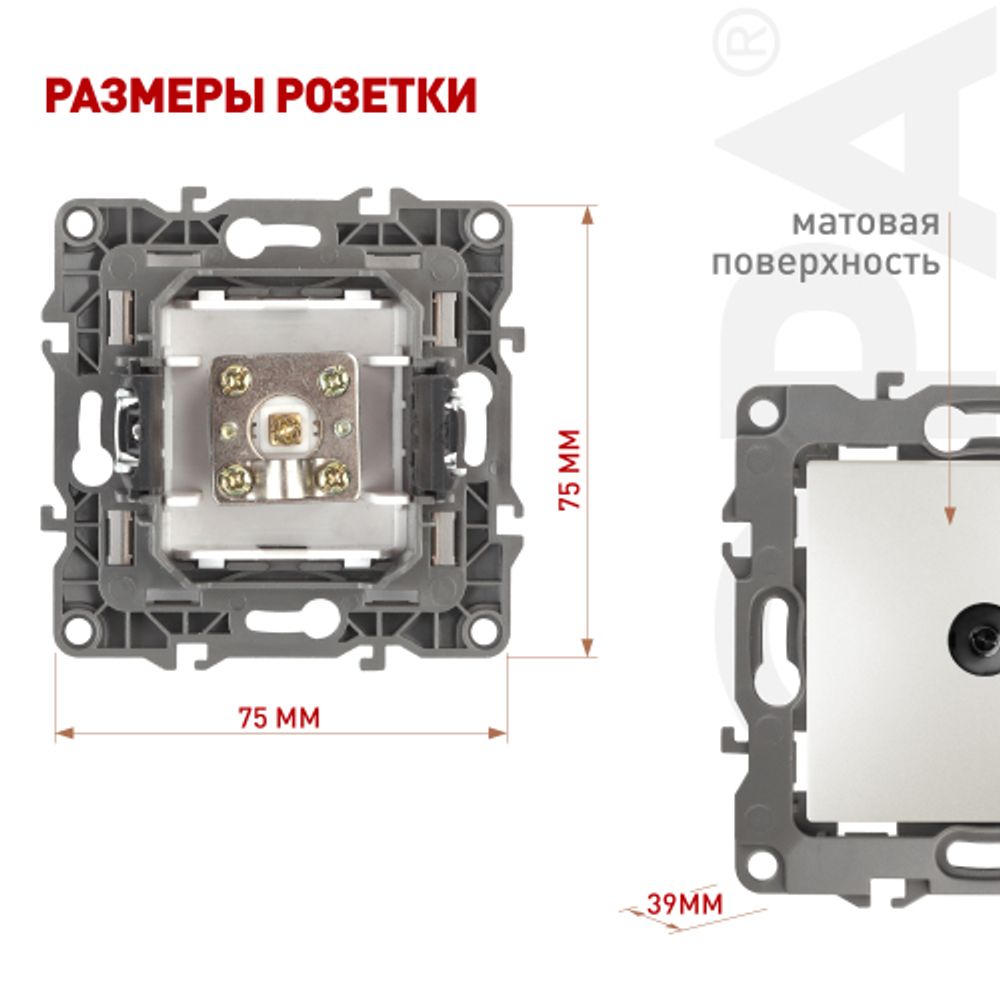 12-3101-15 ЭРА Розетка TV одиночная, IP20, Эра12, перламутр | Эра 12