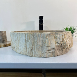 Раковина из окаменелого дерева OD-67007 51x41x16 из натурального камня