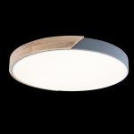 Потолочный светодиодный светильник Loft It Axel 10004/36 Grey