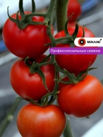 Томат красный Анкато F1 25шт