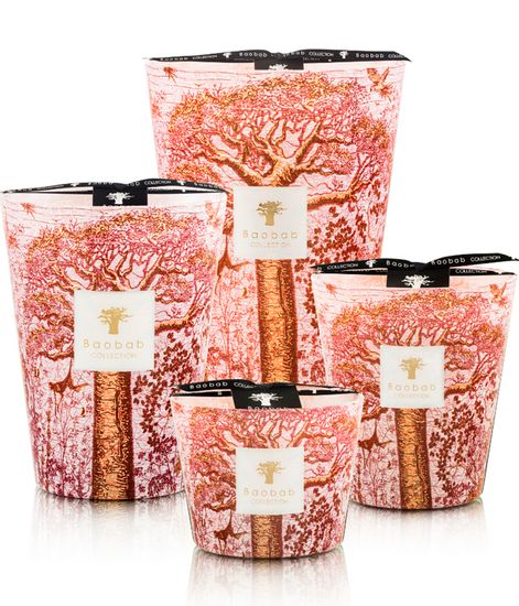 Woroba, свеча MAX 35 Sacred Trees collection, Baobab Collection
