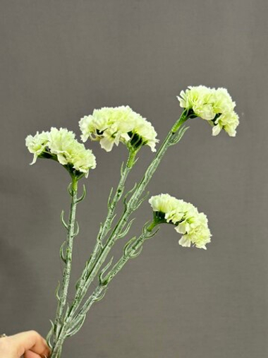 Статица белая (h64 см)
