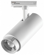 Светильник на штанге Lightstar Fuoco P+CCT 218026
