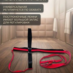 Шорки