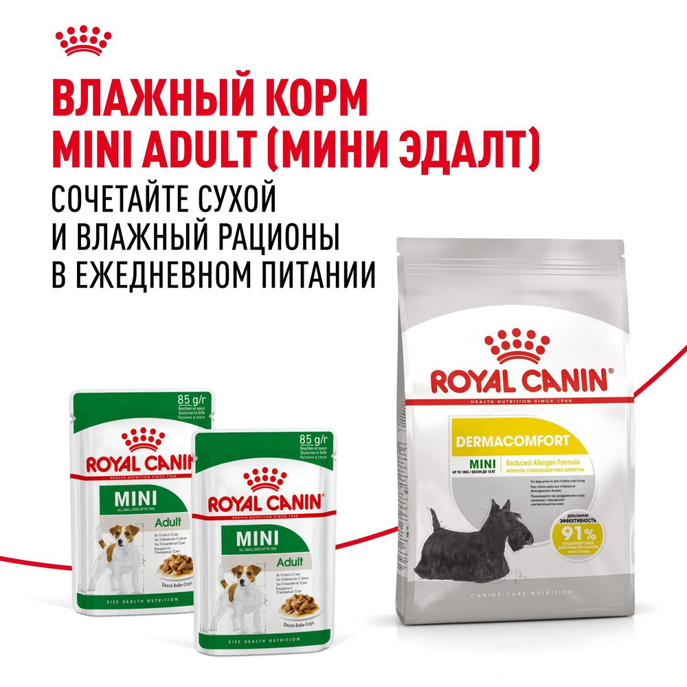 Royal Canin Mini Dermacomfort Мини Дермакомфорт Корм сухой для взрослых собак мелких пород для профилактики раздражения и зуда кожи 3кг