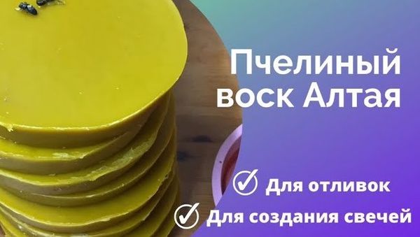 Волшебство Алтайского пчелиного воска