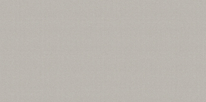 Мегаполис серый / Megapolis Gray WT9MEG15 Плитка настенная 249*500 (12 шт в уп/80.676 м в пал)