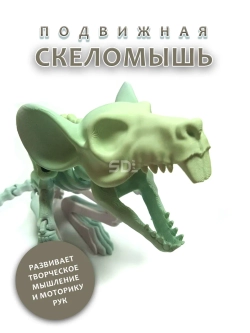 Скелет Мышь