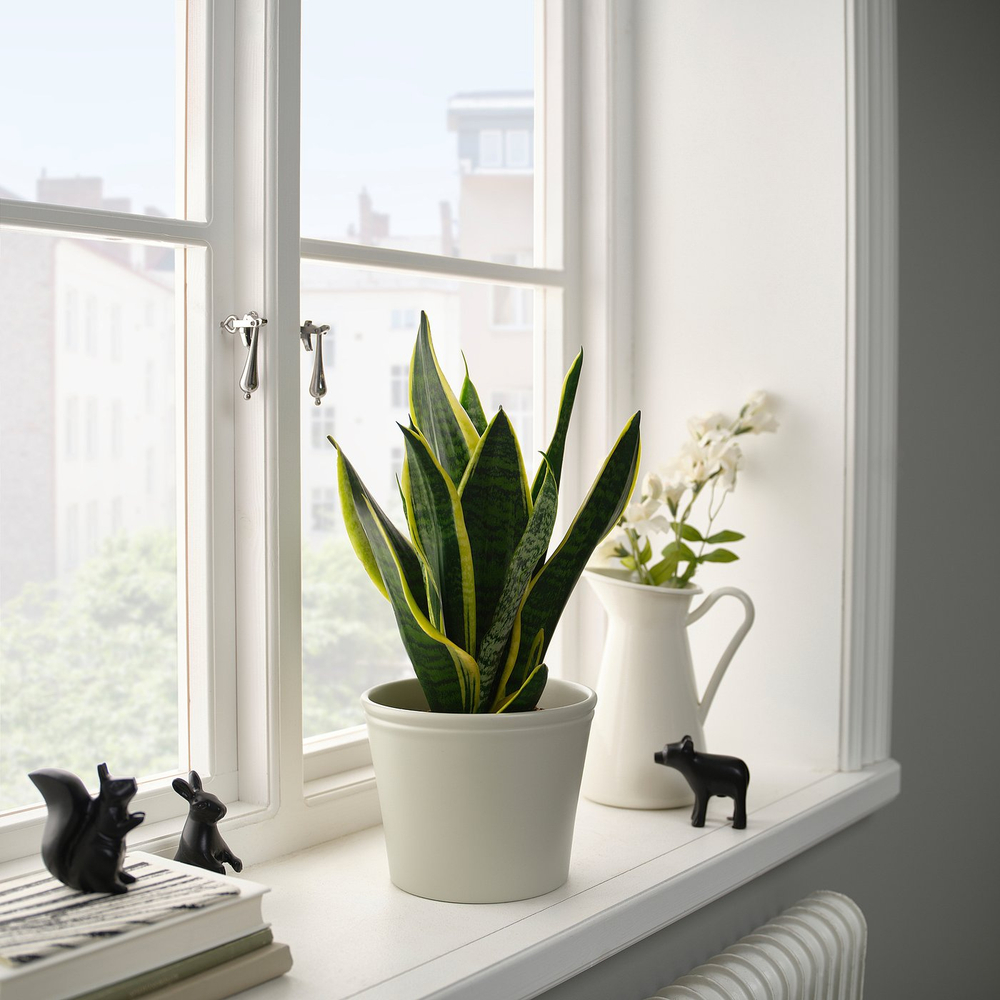 IKEA KÖRSBÄRSBJÖRK  (ИКЕА КЁРСБЭРСБЙЁРК)  -  Кашпо - светлый серо-бежевый 15 см