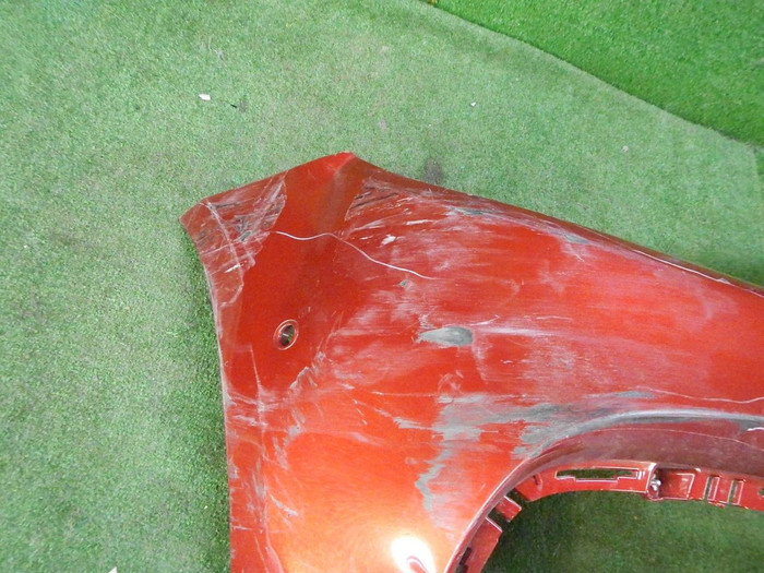 DSCN1667.JPG