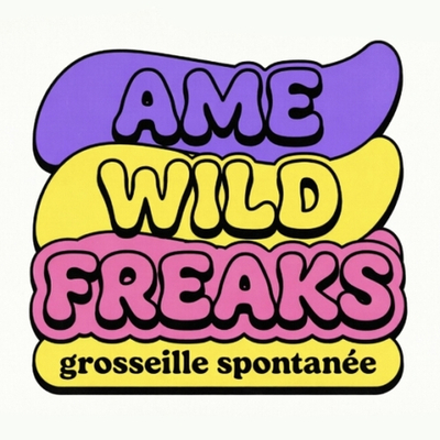 Пиво Эми Вайлд Фрикс Грозель Де Спонтани / Ame Wild Freaks Groseille De Spontanee 20л - кег