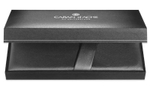 Шариковая ручка - Carandache Ecridor F