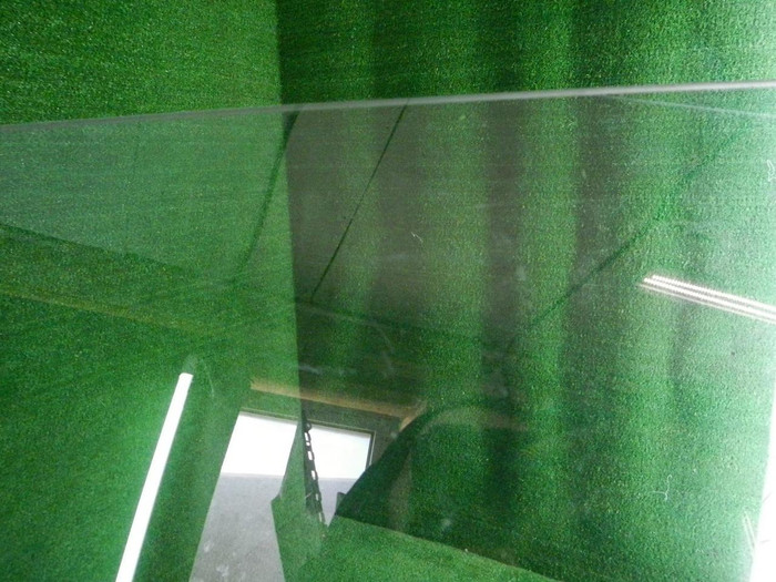 DSCN5675.JPG