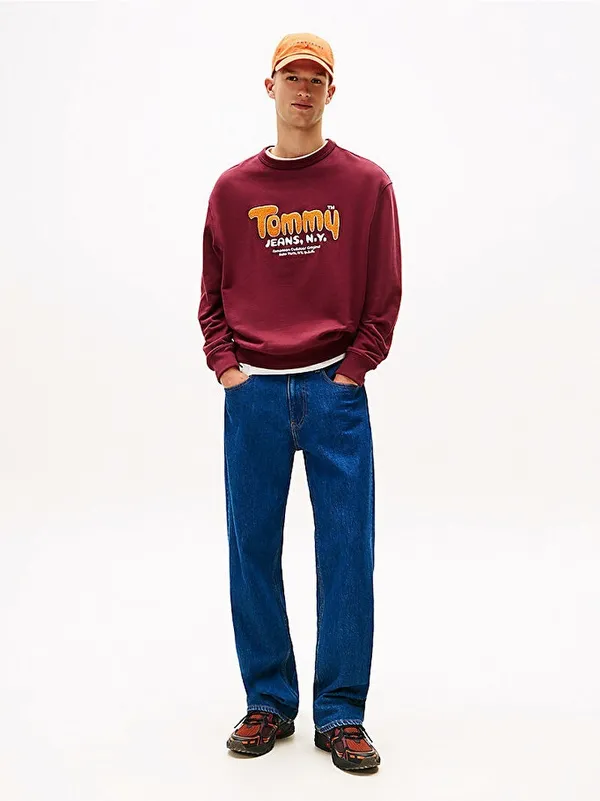 Толстовка мужская TOMMY JEANS TJM RLX BOUCLE FNT P