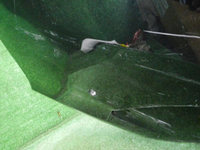 DSCN9478.JPG