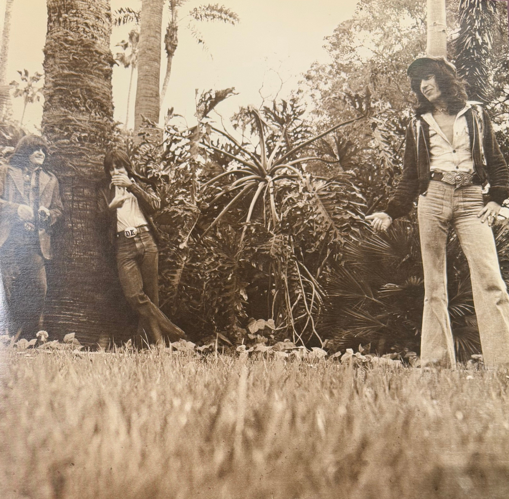 Виниловая пластинка Bill Wyman ‎– Monkey Grip LP