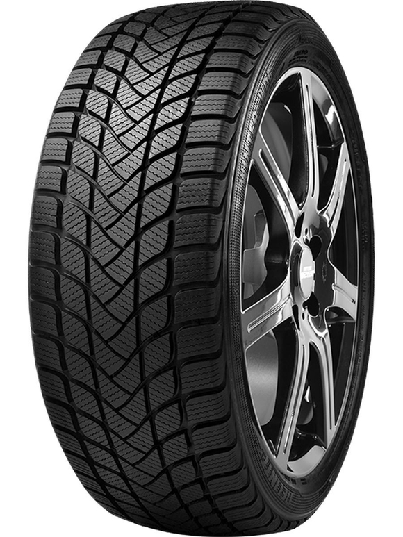 Зимняя шина Delinte Winter WD6 (225/55 R16 99V)