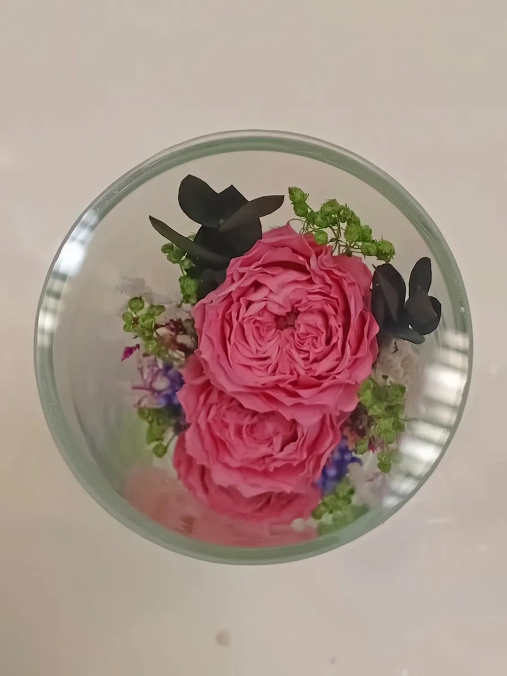 натуральные цветы в стекле, вакуум
