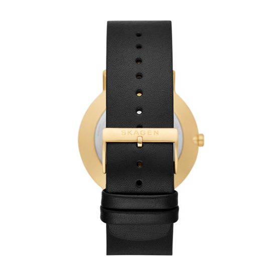 Мужские часы Skagen SKW6896