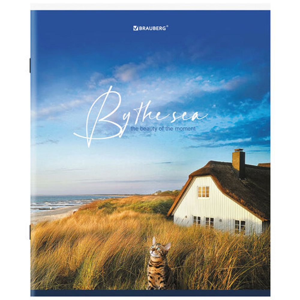 Тетрадь А5, 80 л., BRAUBERG, скоба, клетка, обложка картон, "By the Sea", 404410, 5шт